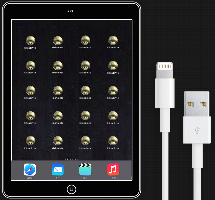 2-3 connect iPhone or iPad to computer via USB