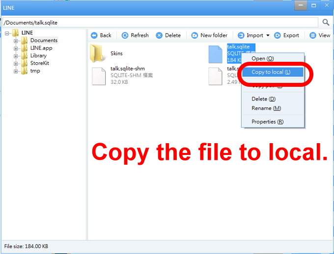 iOS 4-copy the file to local