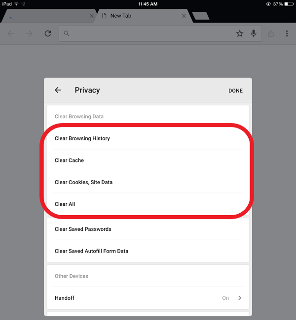 clear chrome history on ipad iphone (6)